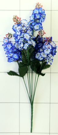 Сирень